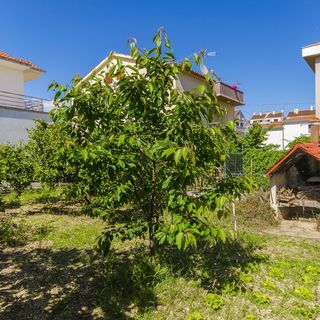Apartment Maja Trogir (4)