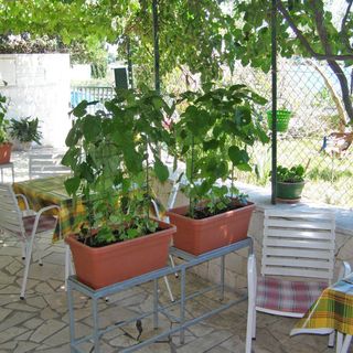 Apartment Željka Seget Vranjica (4)