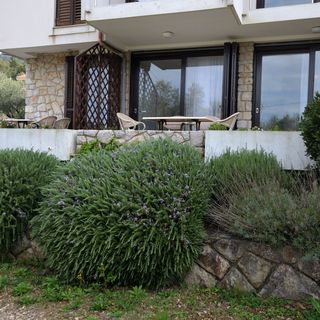 Apartments Ljubomir Cres (4)