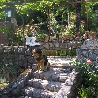 Apartments Zlatko Icici (5)