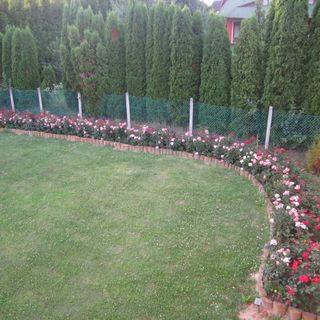 Rózsadomb Apartman Zalakaros (4)