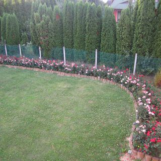 Rózsadomb Apartman Zalakaros (4)