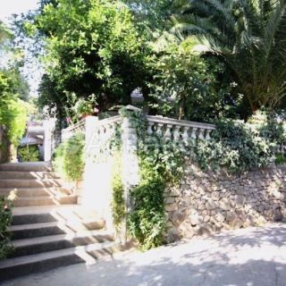Villa Franka Rab (5)