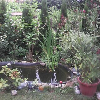 Erdős Vendégház Noszvaj (4)