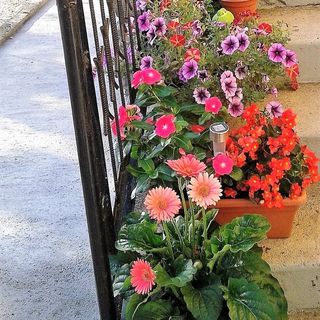 Nira Apartman Balatonfüred (2)