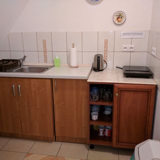 Willa Marylka Piwniczna-Zdrój (4)