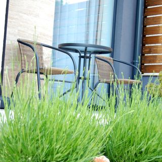 Újhely Apartmanház Siófok (4)