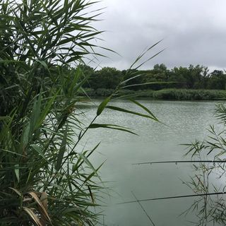 Happy Mammy Bababarát Vendégház Hűvös Gyopárosfürdő (5)