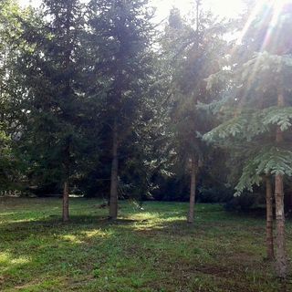 Füveskert Apartman Erdőbénye (5)