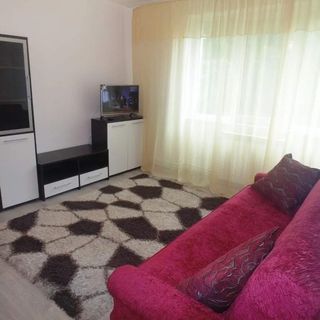 Apartament Lary Suceava (5)
