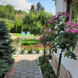 Rózsakert Vendégház Szigliget (5)