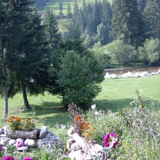 Pensiunea Dig's Gârda de Sus (2)