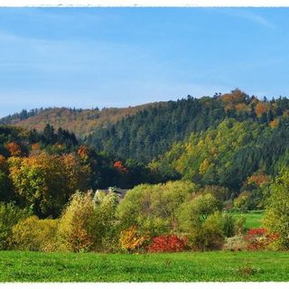 Ośrodek Turystyczno Wypoczynkowy Urocza Sarnaki (4)