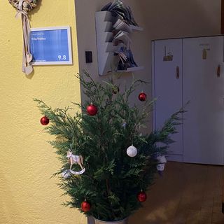 Villa Trófea Hévíz (4)