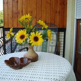 Anett Apartman Fonyód (4)