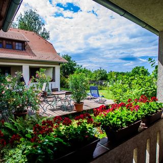 Töreki Apartman Siófok (4)