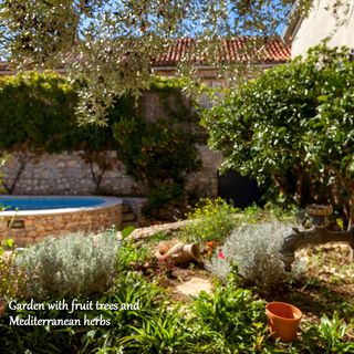 Villa Vicina Milna (5)