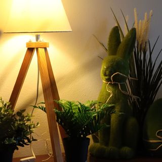 Willa Stożek Białka Tatrzańska (4)