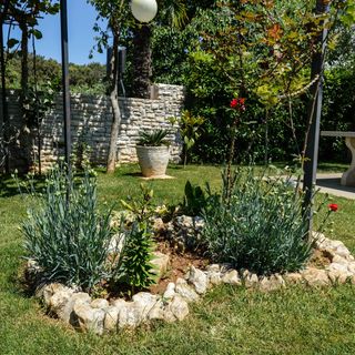 Grgorinic 1 Apartman Pješčana Uvala (3)