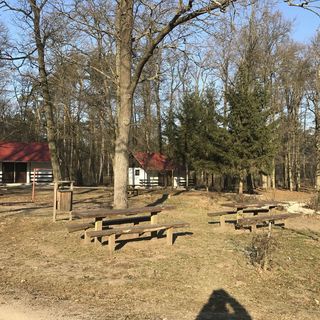 Hódoséri Vadászház Bakonyszentlászló (3)