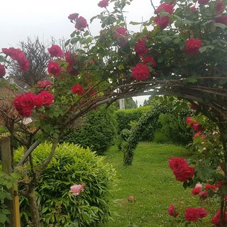 Zsigmond Vendégház Villány (5)