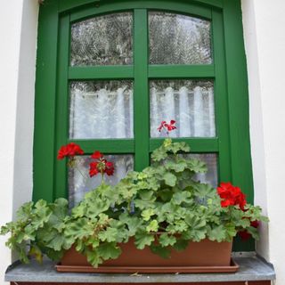 Öko Ház Mórahalom (3)