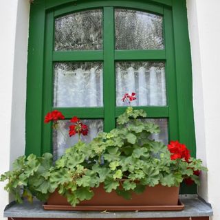 Öko Ház Mórahalom (3)