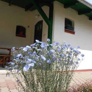 Öko Ház Mórahalom (5)