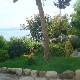 Apartmani Aquarius Lokva Rogoznica (5)