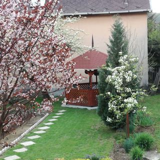 Pihenj Meg Apartman Sirok (4)