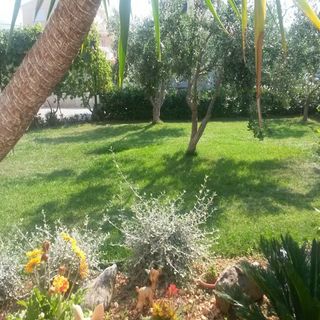 Apartmani Mare Seget Vranjica (5)