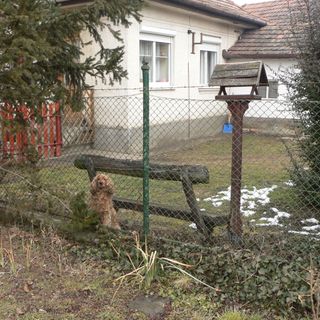 Ágnes Vendégház Recsk (5)