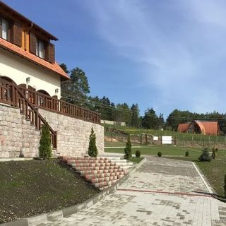 Pensiunea Farkas Cârța (5)