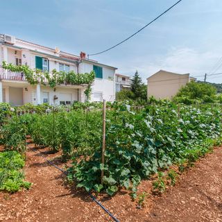 Apartments Mala Dalmacija Poljica (2)