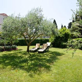 Apartman Urem Fažana (4)