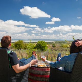 Tagyon Birtok Royal Apartmanház Tagyon (5)