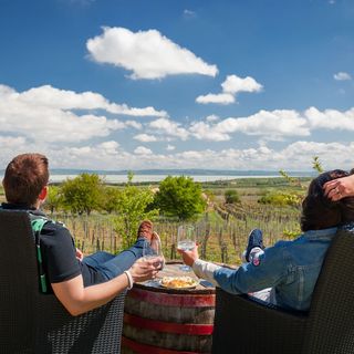 Tagyon Birtok Royal Apartmanház Tagyon (5)