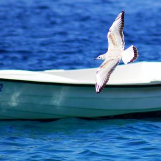 Apartments Danolic 2 Pisak (5)