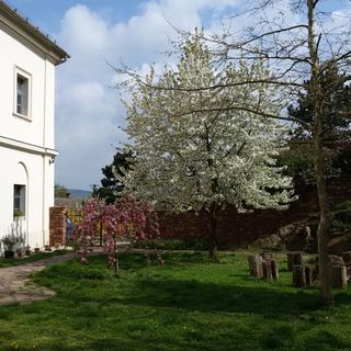 Evangélikus Szállás és Táborhely Kővágóörs (4)