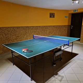 Gościniec Pięciu Stawów Ustrzyki Dolne (4)