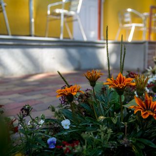 Viktória Apartman Mezőkövesd (4)