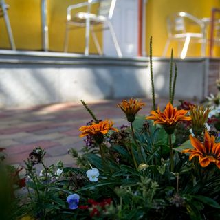 Viktória Apartman Mezőkövesd (4)