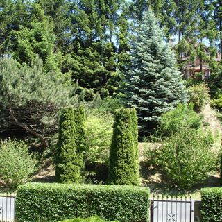 Bíró Apartman Zalakaros (5)