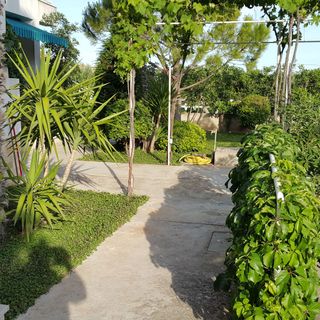 Apartmani Beti Betina (3)