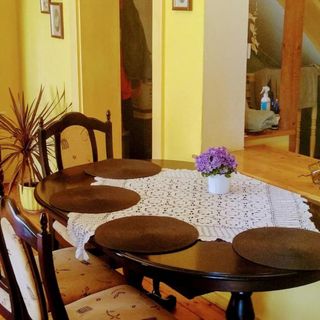 Apartament pod Cedrem Sobótka (2)