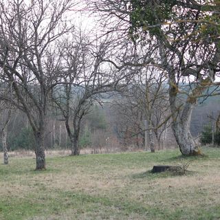 Orbán Porta Szalafő (4)