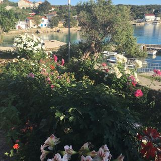 Apartments Suzana Jakisnica (4)