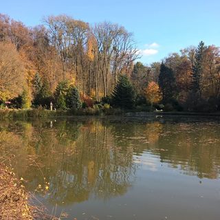 Pongrácz Apartman Zirc (4)