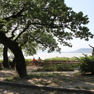 Harsona Vendégház Fonyód (4)