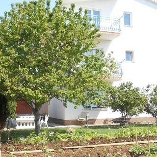 Apartman Natalija Kaštel Štafilić (5)